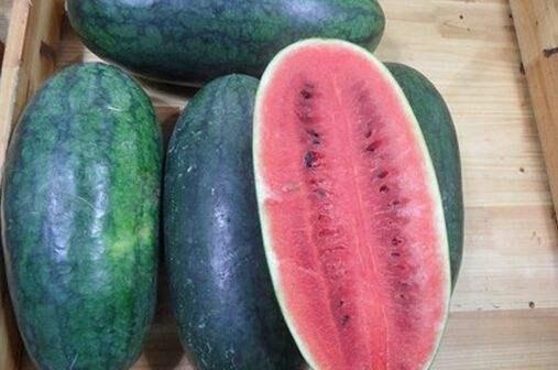 黑玫瑰香妃 吃瓜