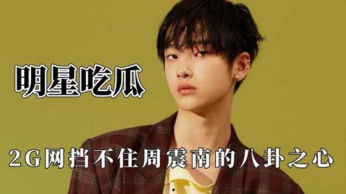 今日吃瓜周震南,揭秘娱乐圈背后的故事