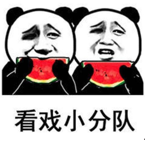 娱乐圈吃瓜壁纸动态高清,高清壁纸见证吃瓜时刻