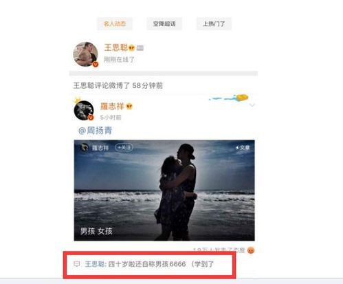 娱乐圈吃瓜视频素材网站