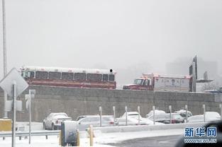 拉瓜迪亚今日新闻最新,聚焦最新动态，解码城市脉搏