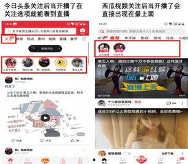 今日头条阿瓜直播怎么样,今日头条热门直播平台深度解析