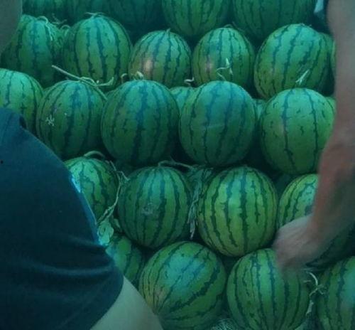 2021今日瓜价,今日瓜价行情一览