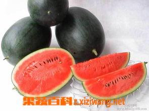 黑料设网红精品吃瓜,黑料背后的精品吃瓜盛宴