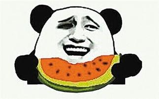 黑花爸妈吵架我吃瓜,吃瓜群众围观热议