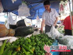 大连蔬菜角瓜今日行情,价格波动，市场供需分析”