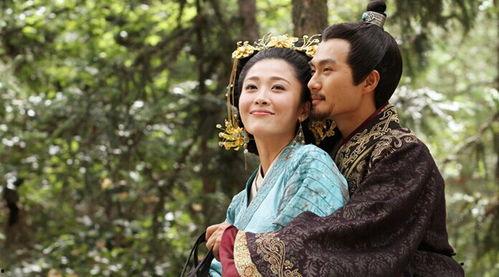 卫子夫直播在线观看,穿越时空，共赏古代传奇