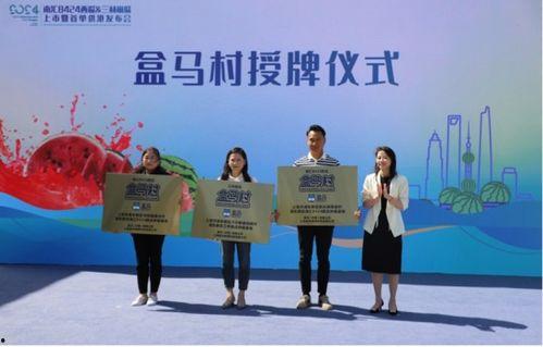 上海崩瓜今日新闻,揭秘背后真相与市场影响