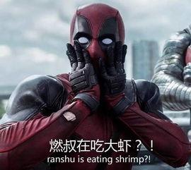 死侍3今日吃瓜,今日吃瓜，揭秘超级英雄背后的疯狂生活