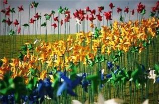 异形风车在线观看,惊悚科幻之旅，探索未知世界的惊悚冒险