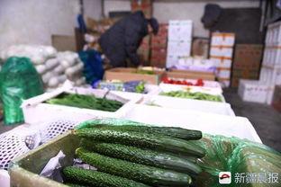 乌鲁木齐今日瓜价,今日瓜价行情一览”