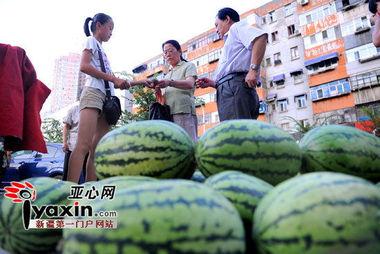 乌鲁木齐今日瓜价,今日瓜价行情一览”