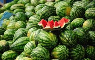 昆明小圆瓜今日行情价格,价格波动与市场动态一览