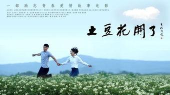 土豆花开电影在线观看,一段乡村爱情的温暖绽放