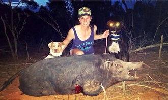 猎猪在线观看,揭秘网络猎奇背后的惊悚故事